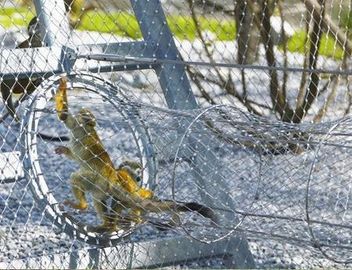 316 Yüksük Tipi Tel Kablo Halat Aviary Net Kuş Netleştirme Için Paslanmaz Çelik Hayvanat Bahçesi Mesh